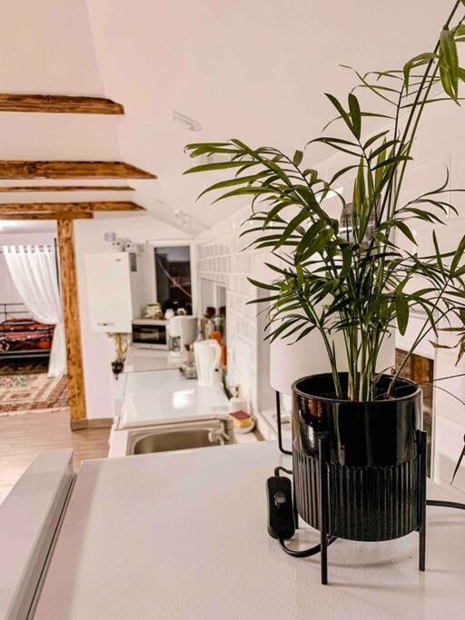 Yard Studio Rasnov Apartment Luaran gambar