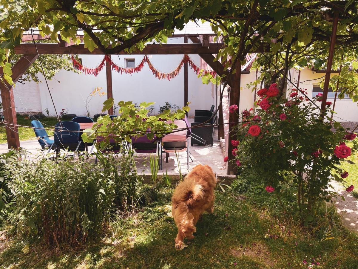 Yard Studio Rasnov Apartment Luaran gambar