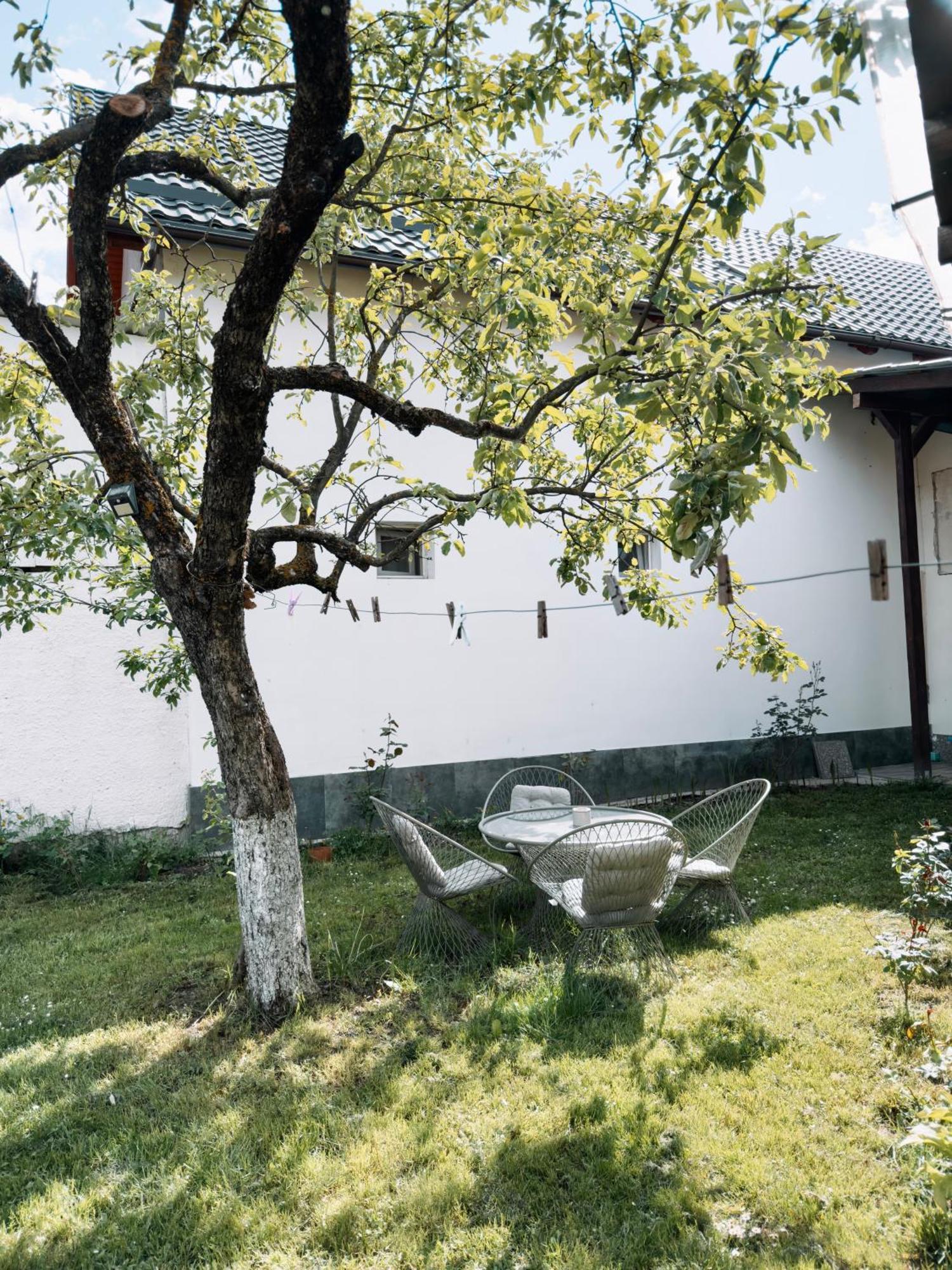 Yard Studio Rasnov Apartment Luaran gambar
