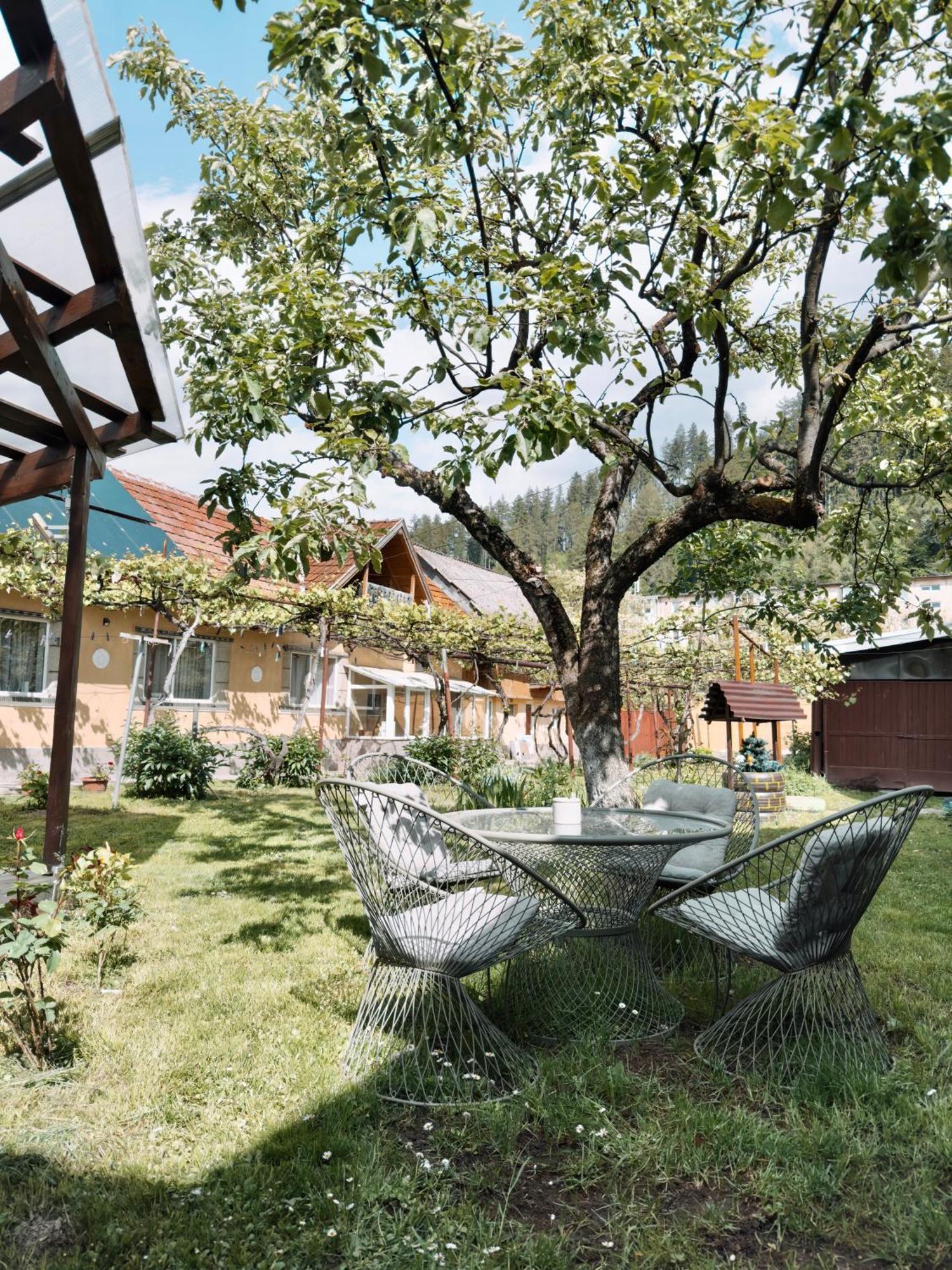 Yard Studio Rasnov Apartment Luaran gambar