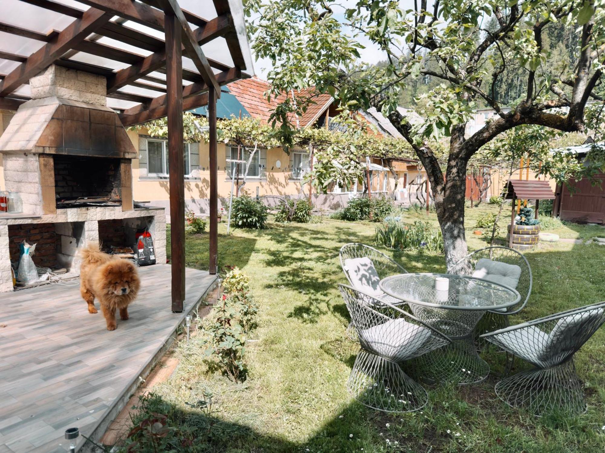Yard Studio Rasnov Apartment Luaran gambar