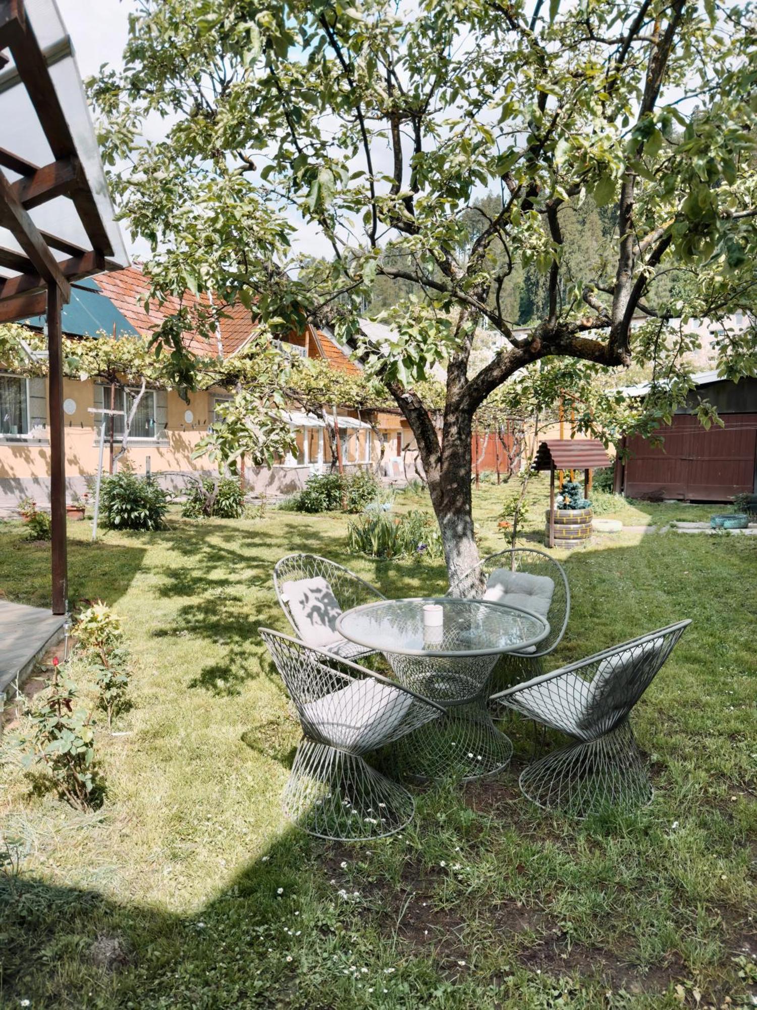 Yard Studio Rasnov Apartment Luaran gambar